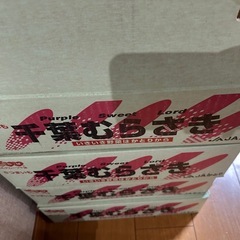 🟣むらさきいも　5kgの画像