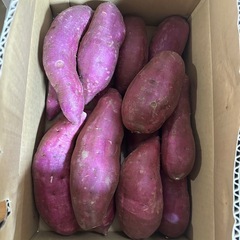 🟣むらさきいも　5kgの画像