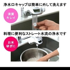 トレビーノスーパーの画像