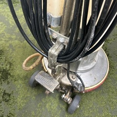 （保留中）ポリッシャー14インチの画像