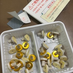 せんねん灸オフ　レギュラーきゅうの画像