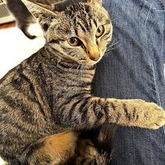 キュートなユズくん！