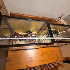 五月人形の画像