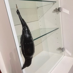 このカラスは明日で捨てられます。こんなカラスは如何ですか。の画像