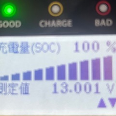 M42Rバッテリーの画像