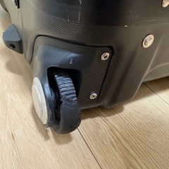 PROTEXスーツケースの画像