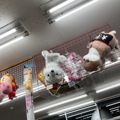 【クリスマスに🎄】ぬいぐるみの画像