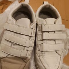 スニーカーLとスニーカーM バラ売り可の画像