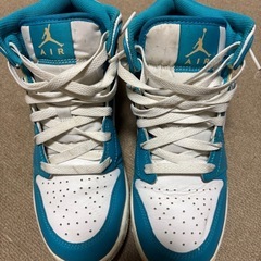 エアジョーダン水色(24.0cm）の画像