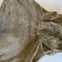 パールボタンペプラムファーベスト の画像