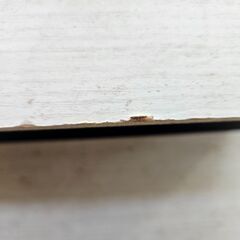 ✨️ジモティー割引✨️【ジャングルジャングル堺初芝店】　現状販売　2段ラック　※割れあり　堺市（東区　西区　北区　南区　堺区　美原区）高石市　泉大津市　忠岡町　和泉市　松原市　大阪狭山市の画像