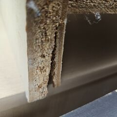 ✨️ジモティー割引✨️【ジャングルジャングル堺初芝店】　現状販売　2段ラック　※割れあり　堺市（東区　西区　北区　南区　堺区　美原区）高石市　泉大津市　忠岡町　和泉市　松原市　大阪狭山市の画像