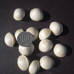 ラス前　銀杏　６００グラムの画像