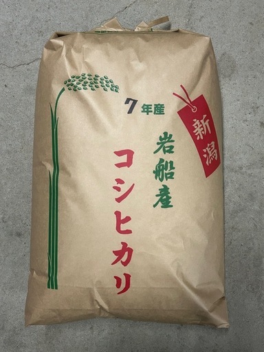 令和7年産　岩船産コシヒカリ　玄米30kg