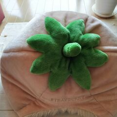 ペットクッション／ペットベッドの画像