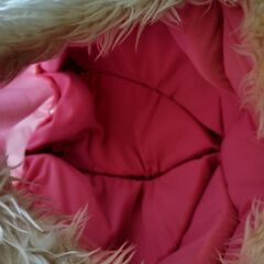 ペットクッション／ペットベッドの画像