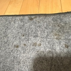 ホットカーペットの画像