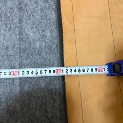 ホットカーペットの画像