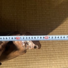 天然木　オブジェ
の画像