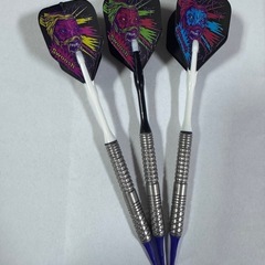 定価12,100円 TIGA岡野翔 フェンリル19gの画像