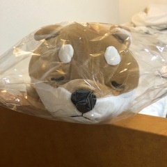 柴犬抱き枕‼️
の画像