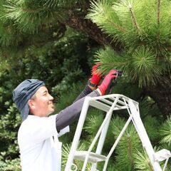 新事務所オープン！【長期休暇あり×スキルアップも可】街の「みどり」をつくる仕事＿株式会社豊橋園芸ガーデンの画像