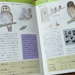 自然ガイド とりの画像