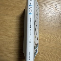 自然ガイド とりの画像