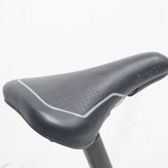 R＆M 「ライズアンドミュラ―」 BIRDY CLASSIC 2020年モデル 18インチ 折り畳み自転車の画像