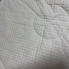 プッパプーポ サニーマット 月齢フォトの画像