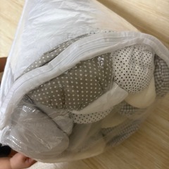 プッパプーポ サニーマット 月齢フォトの画像