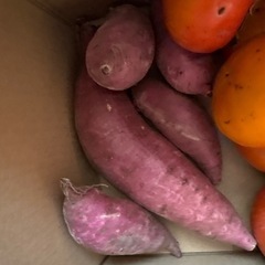 無農薬柿&サツマイモの画像