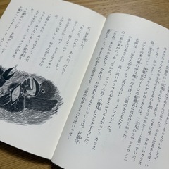 ドングリ山のやまんばあさんの画像