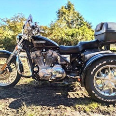 スポーツスタートライク
の画像