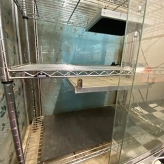 ガラス温室　爬虫類　飼育　ガメ　の画像