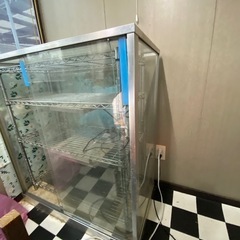 ガラス温室　爬虫類　飼育　ガメ　の画像