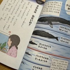 なぜ？どうして？ 1年生の画像