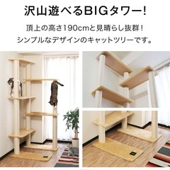 【1年使用】大型キャットタワー（190cm）の画像