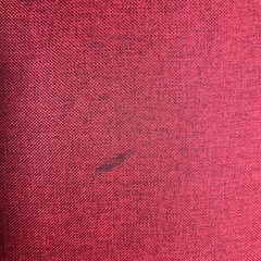 🏅早いもの勝ち🏅の画像