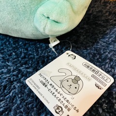 #未使用#カピバラさん#めちゃもふっとぬいぐるみ#20周年#とぅえんくるさん登場#クレーンゲーム#UFOキャッチャー#景品#大きい#ビッグ#ラウンド1#の画像