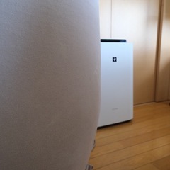 ヨギボー　yogibo midi ミディの画像