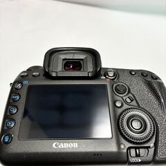 Canon EOS 5dmarkⅳ本体 + BG-E20 + 付属品多数の画像