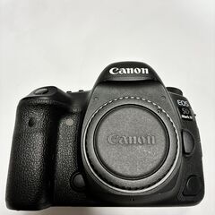 Canon EOS 5dmarkⅳ本体 + BG-E20 + 付属品多数の画像