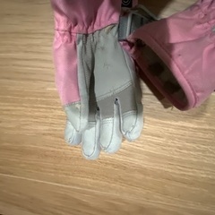 cosby スキーグローブの画像