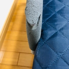 交渉中ですの画像