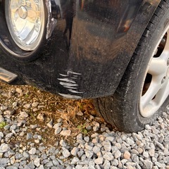 ラパンssの画像