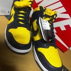 NO.6 NIKE/ダンクHIGHレトロSEの画像