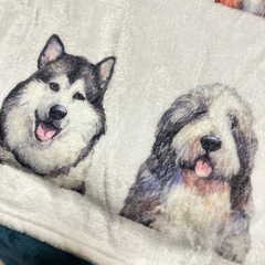 期限今年まで！犬種ブランケットの画像