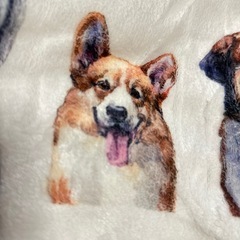 期限今年まで！犬種ブランケットの画像