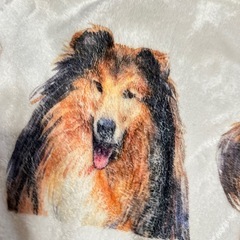 期限今年まで！犬種ブランケットの画像